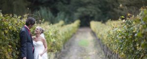 Trouwlocaties in de wijnvelden trouwen in de wijngaarden