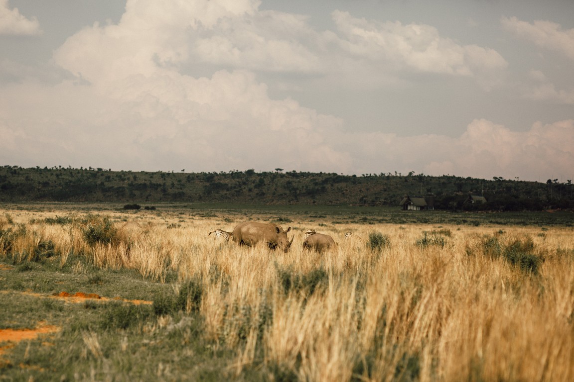 Buitenlandse bruiloft