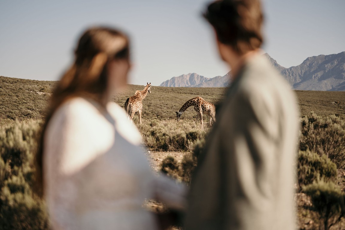Trouwen in de Karoo (82)